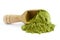 Moringa oleifera powder