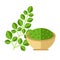 Moringa plant with leaves and seed powder. Vector illustration.