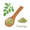 Moringa Powder in wooden spoon isolated on white background. Vector illustration of Moringa oleifera