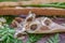 Moringa seeds surrounded by horseradish leaves