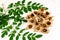Moringa seeds surrounded by moringa powder in a white bowl moringa leaves and moringa pods