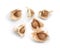 Moringa seeds. on white background