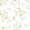 Moringa white flowers seamless pattern. Blooming branch of plant Moringa oleifera