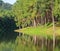 Morining view of reflection of pine tree in a lake