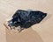 Morion Smokey Quartz with Chlorite lying on wet sand in front of the lake