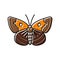 mormon metalmark insect color icon vector illustration