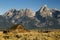 Mormon Row Barn in Autumn Colors, Grand Teton National Park, Wyoming