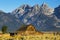 Mormon Row Barn in Autumn Colors, Grand Teton National Park, Wyoming