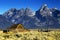 Mormon Row Barn in Autumn Colors, Grand Teton National Park, Wyoming