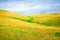 Morning in Alps above the clouds, colourful field at high mountain plateau, italian alpine summer landscape. Idyllic