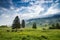 Morning in the Alps, Austria, Rauris. Nature landscape