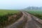 Morning autumn fog on country road. Autumn weather. Dangerous road. Foggy day