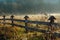 Morning Autumn Meadow. Wooden Fence. Countrysied.
