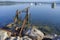 Morning at the bay; rusty old pier and anchored boats