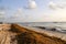 Morning on the beach of Bavaro Dominican Republic / Thrown on the sand seaweed