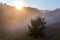 Morning beautiful sunrise Slovenia mountains meadow