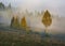 Morning Carpathians. scenic sunrise in the mountains