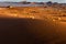 Morning coastal fog recedes from Namibian desert revealing more dunes