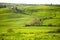 Morning on countryside, San Quirico dÂ´Orcia, Tuscany, Italy