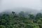 Morning deep green forest mountain cover with heavy misty fog backgrou