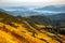 Morning dense fog in the mountainous forest area of the Ukrainian Carpathians. Landscape in nature. Dawn in the mountains