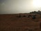 Morning Desert safari of dubai