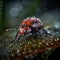 Morning Dew: Ladybug on a Dew-Covered Leaf