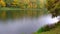 Morning drizzle in an autumn park with beautiful trees