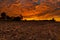 Morning fire sky and scattered clouds with trees and agricultural field as silhouette foreground