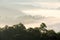 Morning fog in dense tropical rainforest