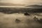 Morning fog in Goulburn River valley in Victoria, Australia