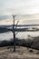 Morning fog in Goulburn River valley in Victoria, Australia