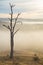 Morning fog in Goulburn River valley in Victoria, Australia