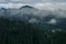 Morning fog in the mountains against the background of ancient snout forest