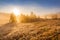 Morning Fog in Mountains. Hoarfrost on Grass and Trees.