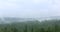 Morning fog in siberian forest. Rain taiga landscape.