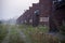 Morning Fog - Solvent Recovery Buildings - Abandoned Indiana Army Ammunition Depot - Indiana