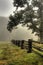 Morning fog on split rail fence