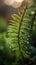 Morning Freshness: Fern\'s Silvery Dew. Generative AI