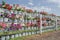 Morning glory flower bags on white fence