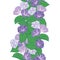 Morning glory flowers and leaves seamless vertical border