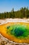 Morning Glory Pool in Yellowstone National Park