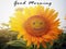 Morning greeting - Good morning. With background of smiling sunflower blossom in the garden. Happy face sign on sunflower blooming
