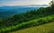 Morning Hazy over the James River in Shenandoah Valley