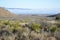 Morning in the High Desert of Big Bend National Park, Texas