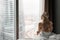 Morning in hotel room. Young woman sits on comfortable bed in mask for sleeping on head. Window of a skyscraper on