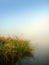 Morning lake and fog