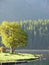 Morning at Lake St. Moritz