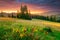 Morning landscape. Green meadow and colorful sky at the sunrise.