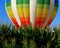 Morning launch of hot-air balloon over a corn field